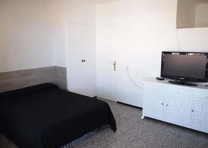 Miramar 38c Roses