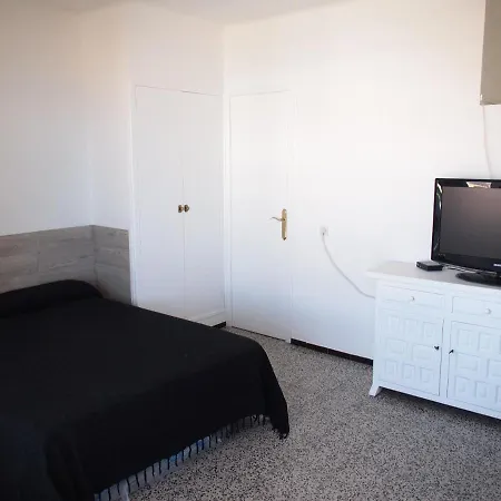 Miramar 38c Roses