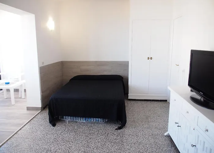 Miramar 38c Roses